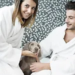 Novotel Eur Rome